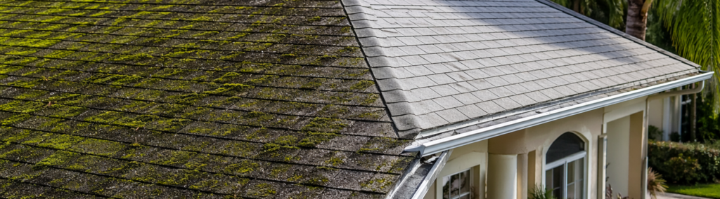 Florida home roof showing dramatic before-and-after contrast of moss and algae buildup versus clean shingles after professional roof cleaning