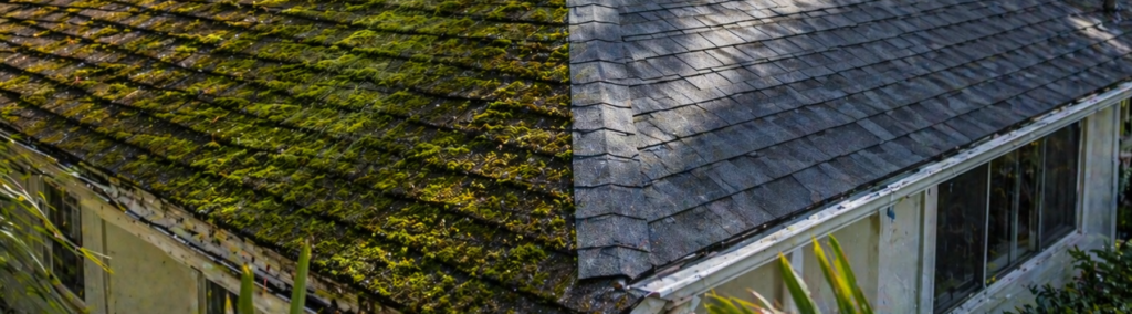Split image comparing a moss-covered roof with a professionally cleaned roof, showcasing Magic Bubbles roof treatment results