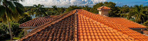 Terra cotta roof tiles on a Treasure Coast home surrounded by palm trees, showing the buildup that professional pressure cleaning can remove.
